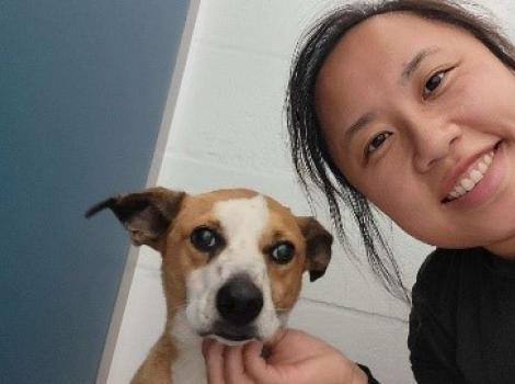 Smiling person scratching the chin of a brown and white dog